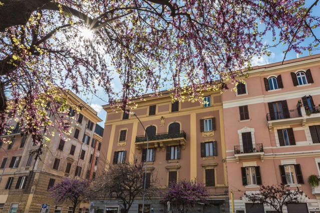 Gallia's Roma